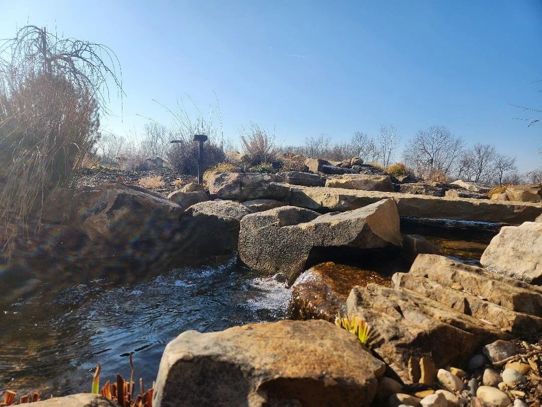 Hey, who's the Straw Boss here?