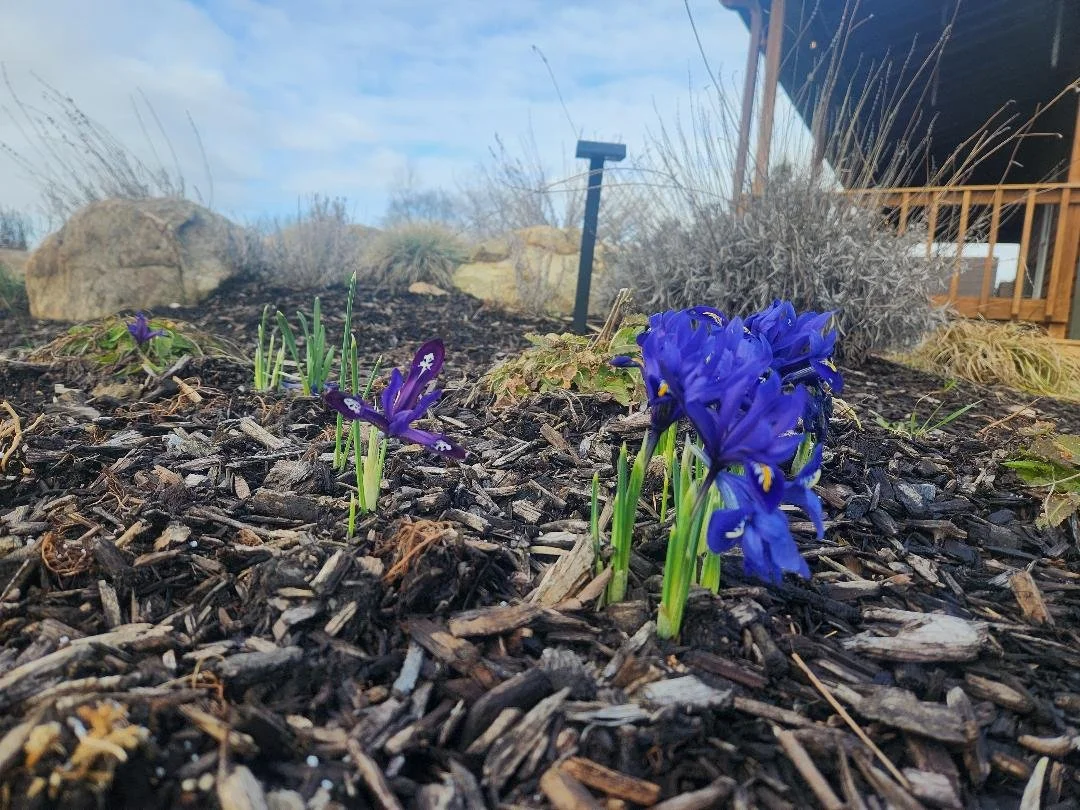 Stakeholders with Withheld Competence