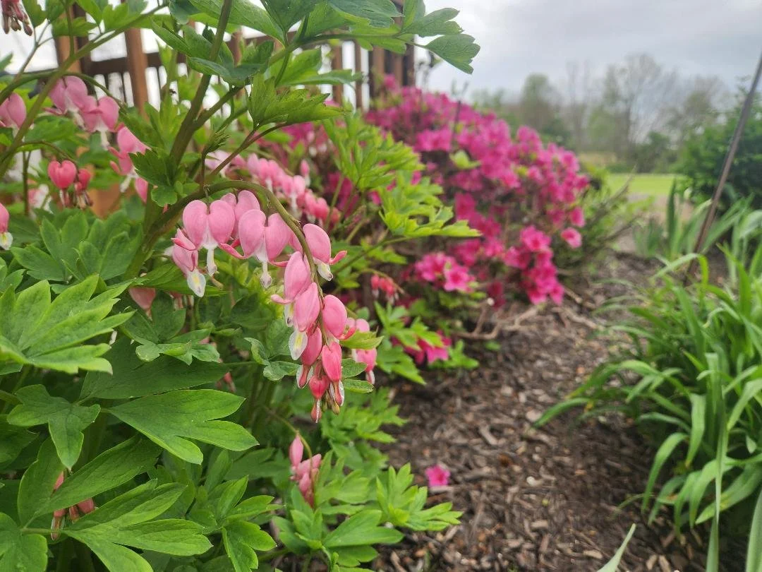Patio Pondering: $1,126,462.39 — Before You Vote on May 5th
