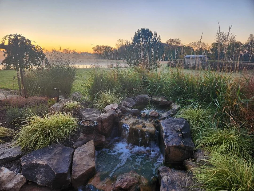 Foggy Pond 1 (10-24-2024).jpg