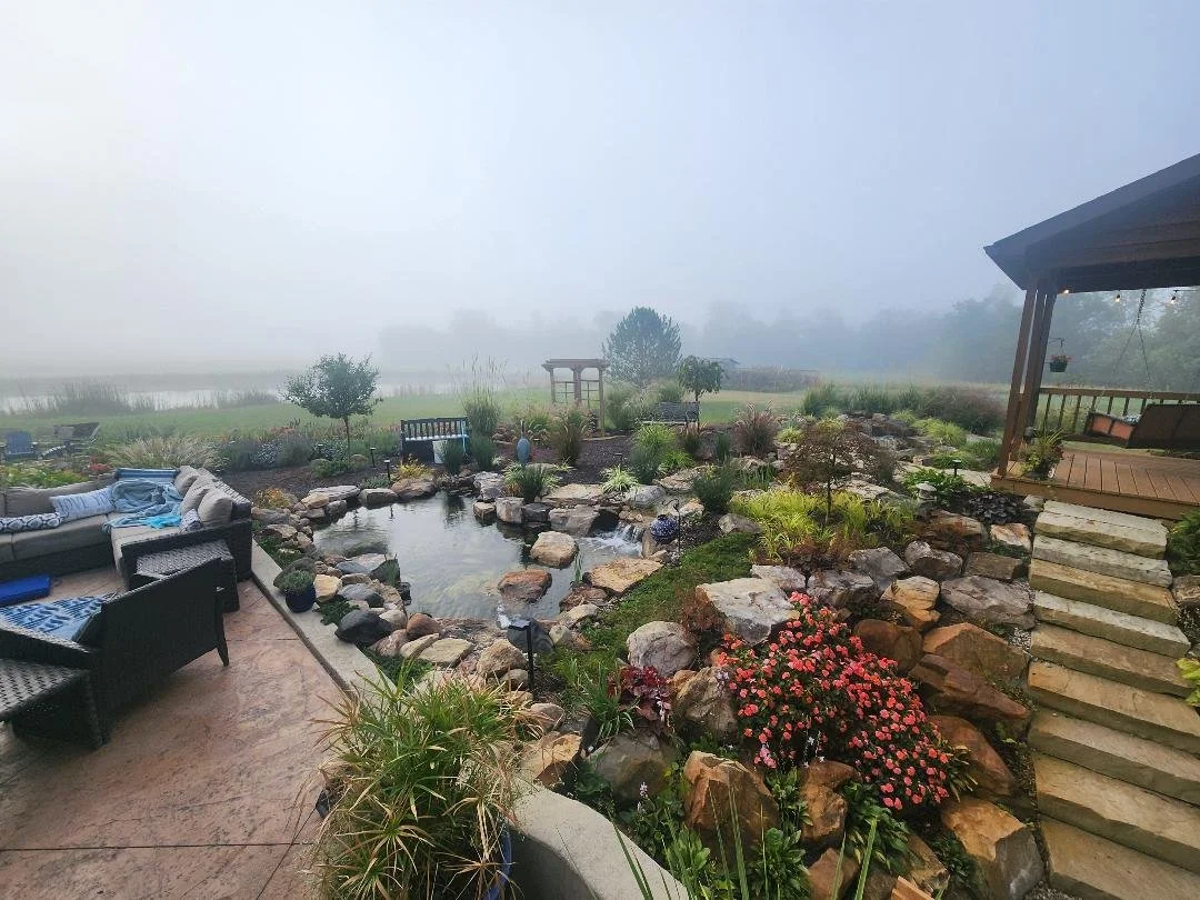 Fog (9-18-2024).jpg