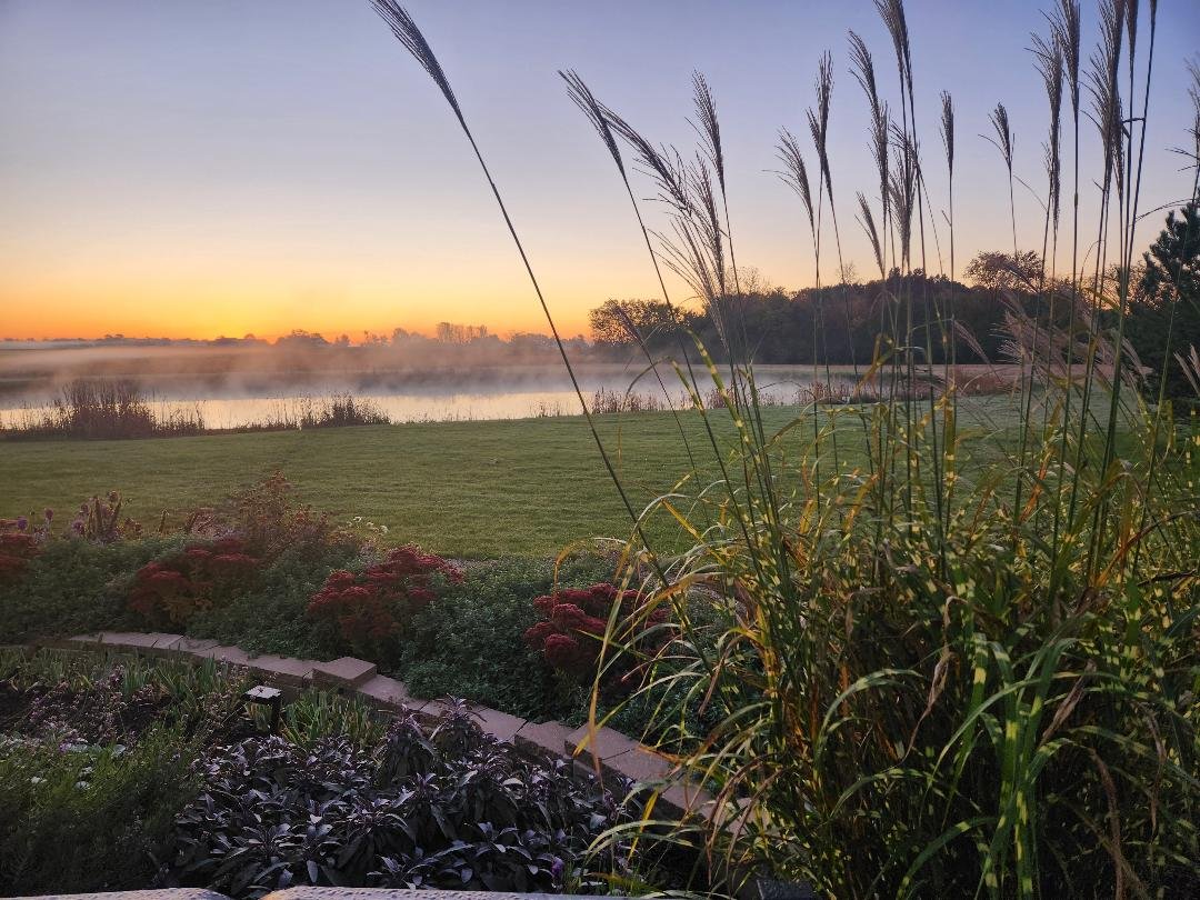 Foggy Pond 2 (10-24-2024).jpg