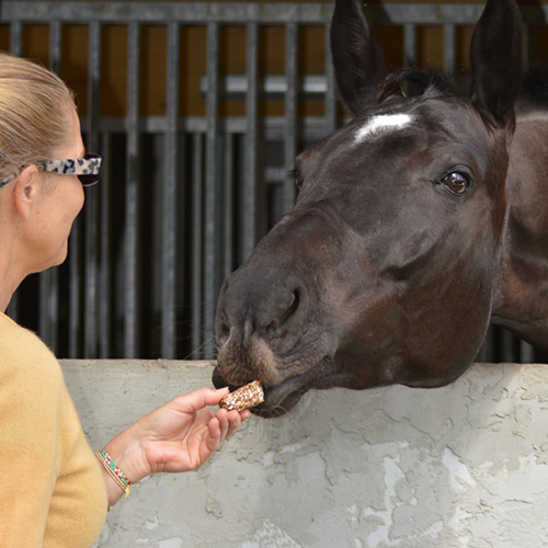 Nak™ Bar Equine Electrolyte
