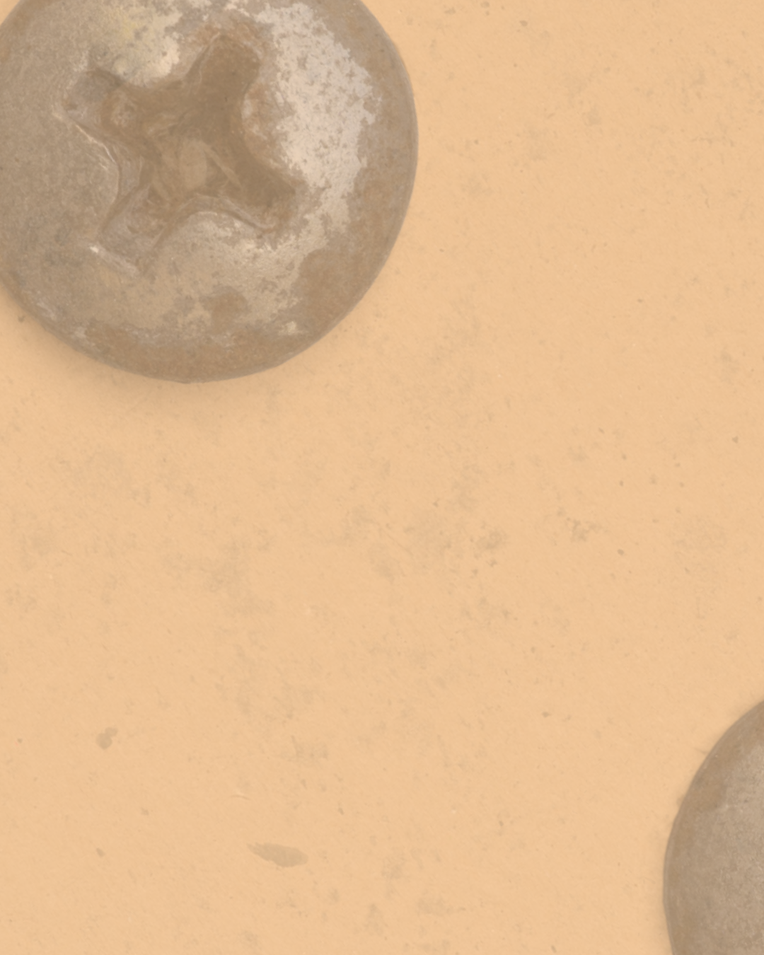 Close-up of two metallic screws on a light-colored surface.