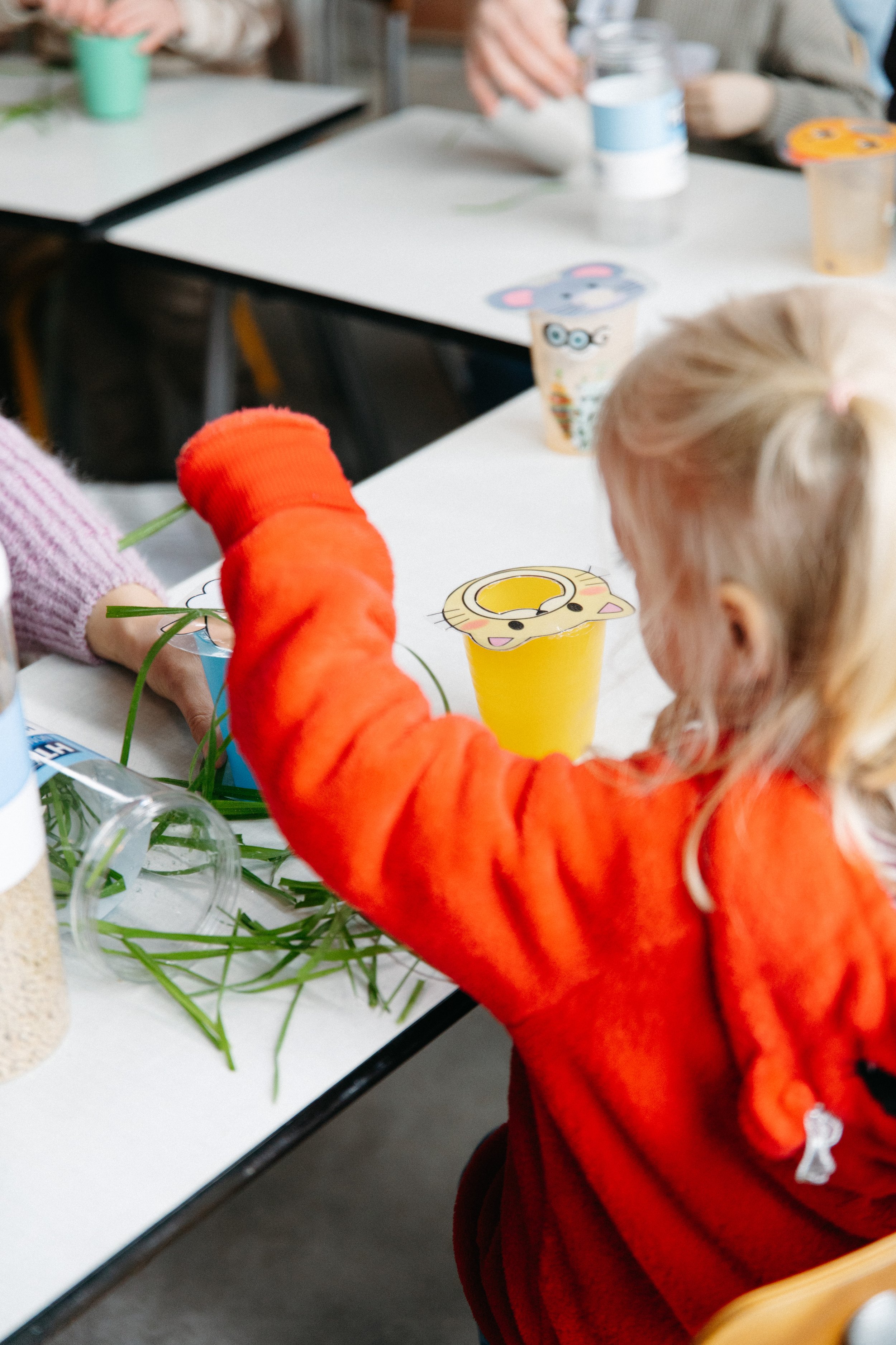 Content creatie - social media management Westhoek