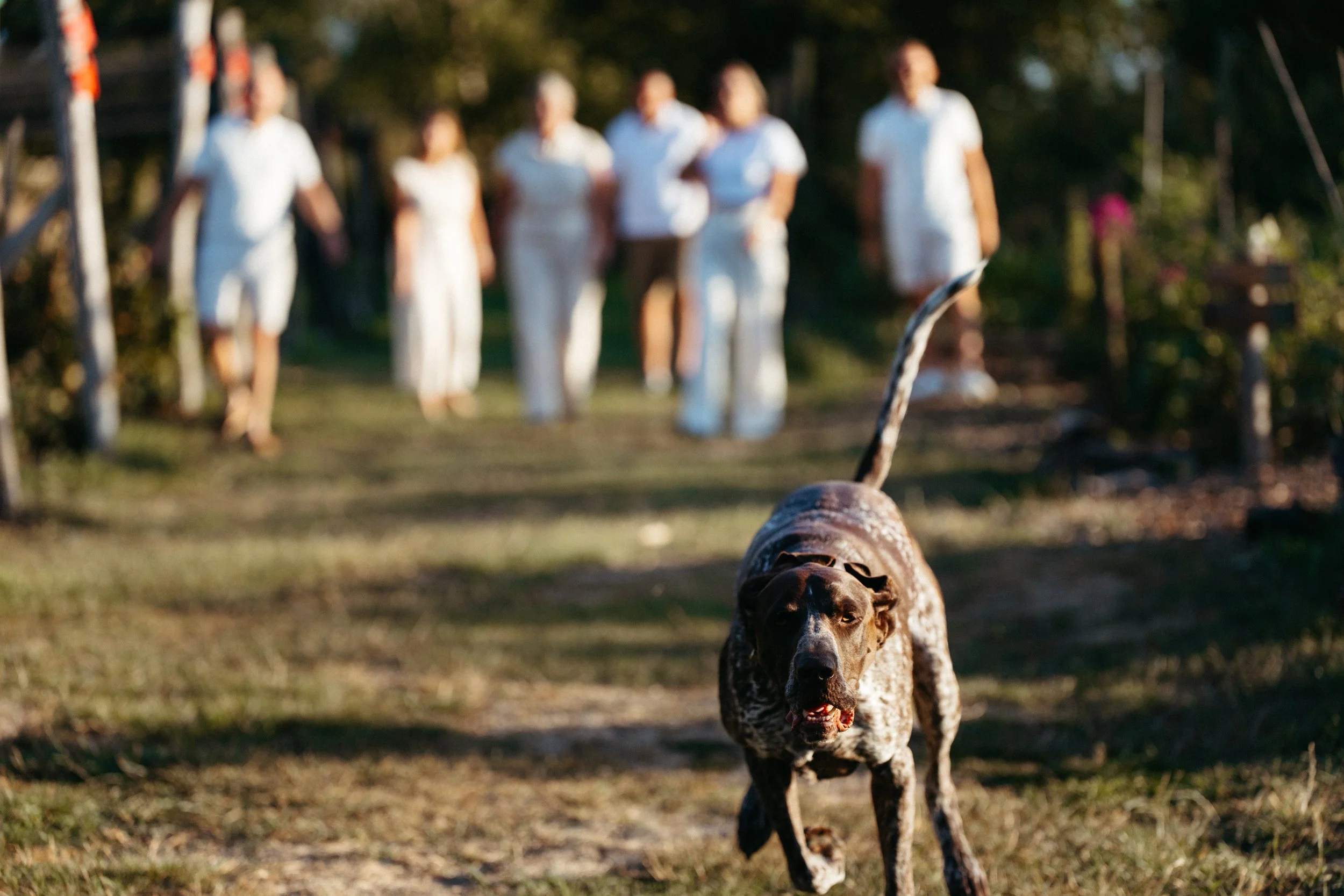 Familiereportage - gezinsfotografie - familiefotografie - fotografie