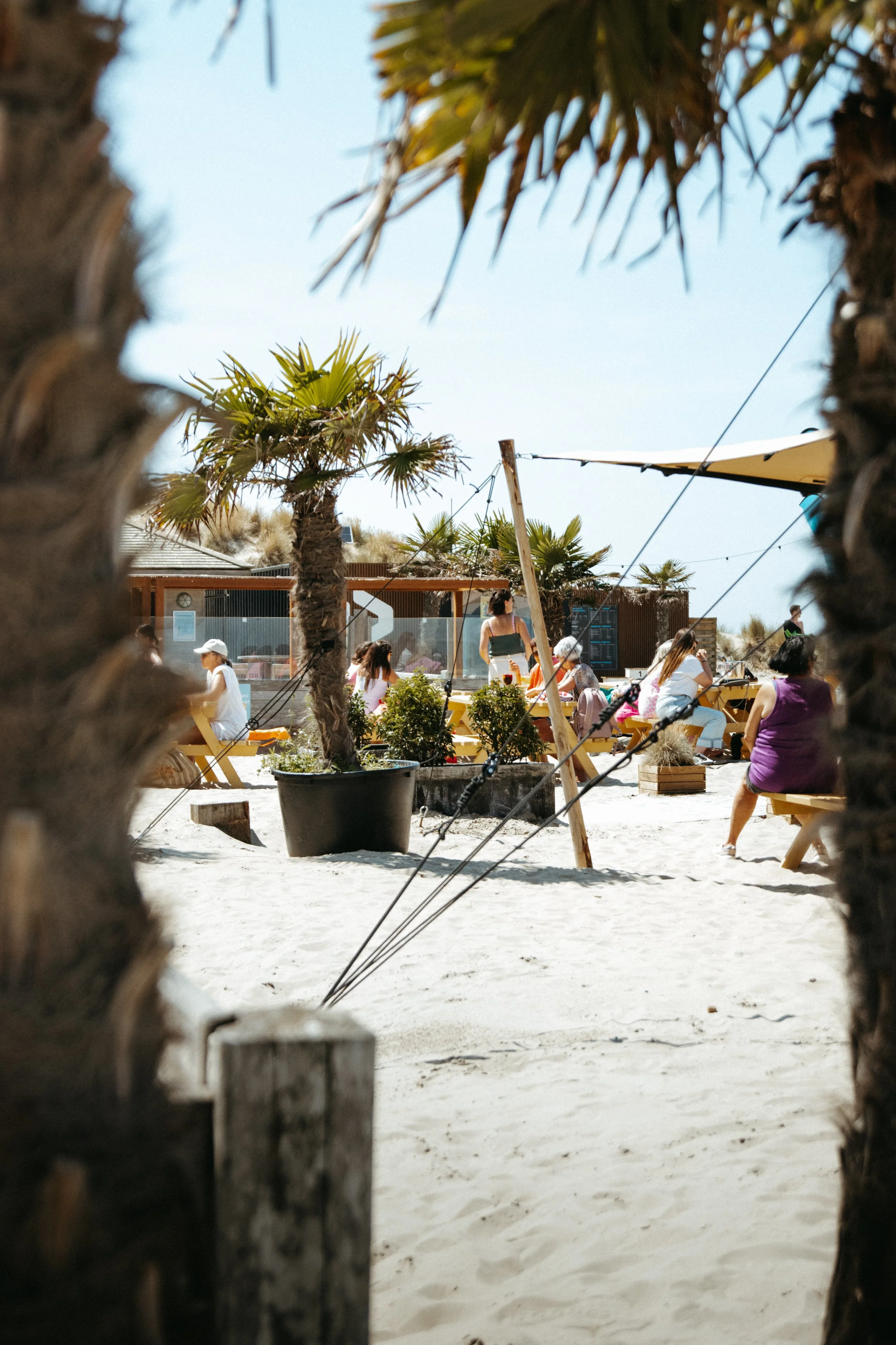 content creatie - social media management