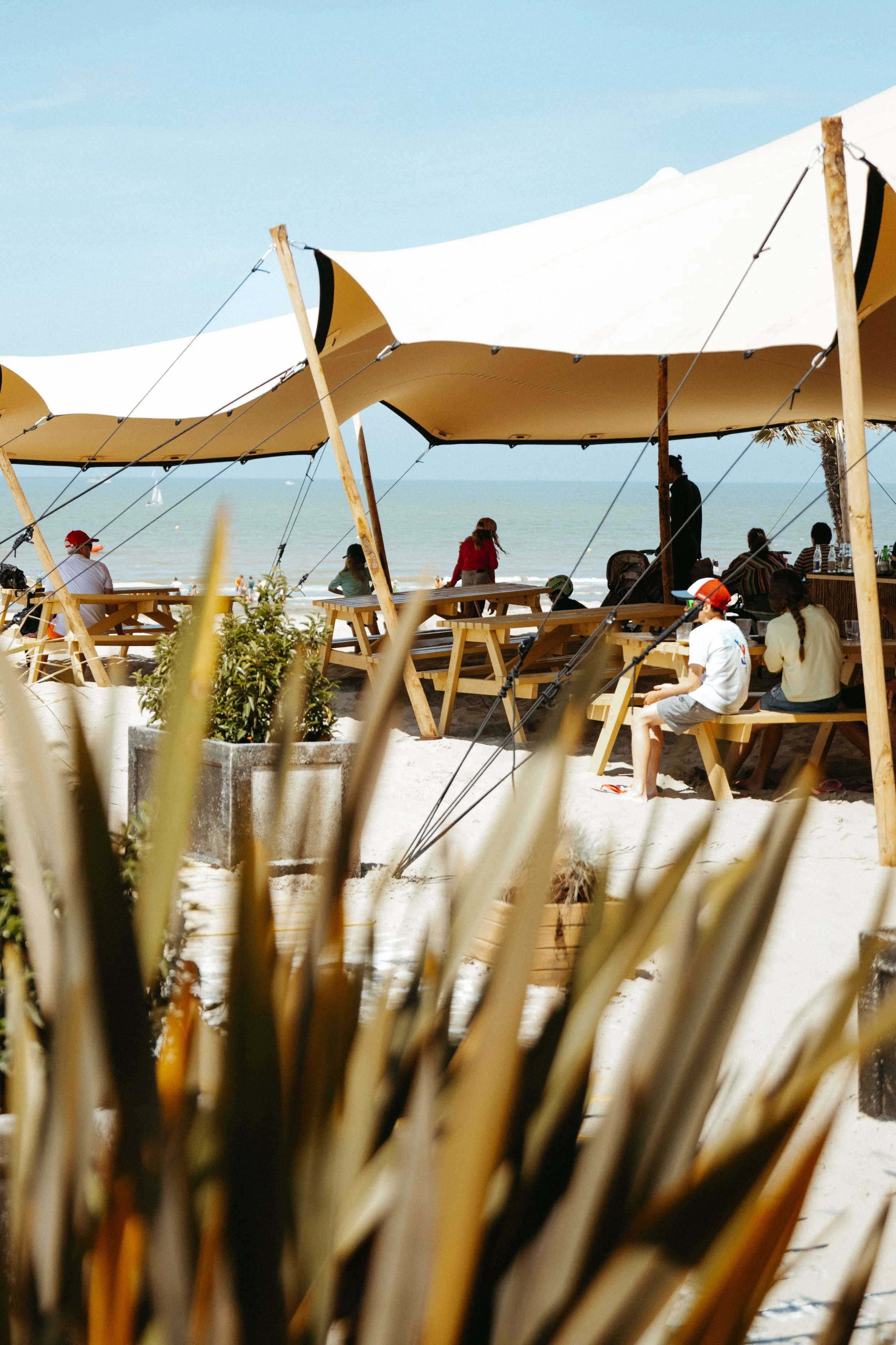 content creatie - social media management