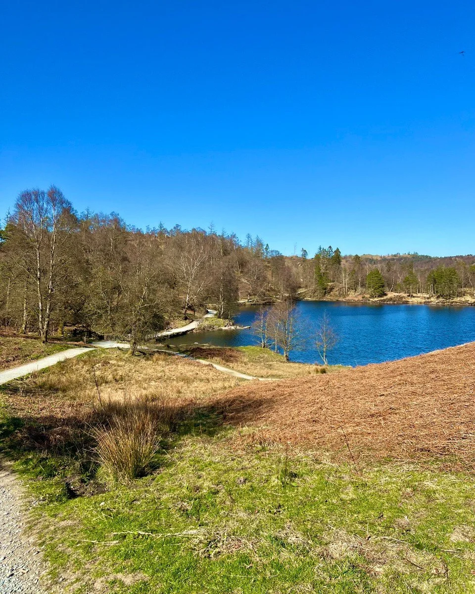 📍Tarn Hows 

No candles this time &mdash; just the dogs, a camera, and a bit of peace and quiet.

🌲Tarn Hows is one of our favourite spots for a slow walk and a reset.

🦮 The dogs loved it, the light was perfect, and it was the kind of afternoon t