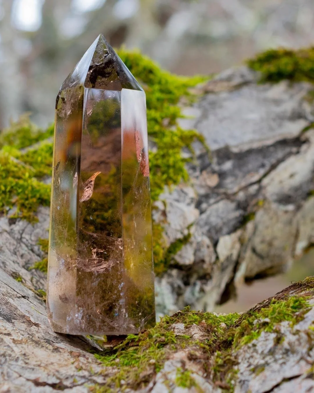 a tower shaped smokey quartz crystal on a mossy log