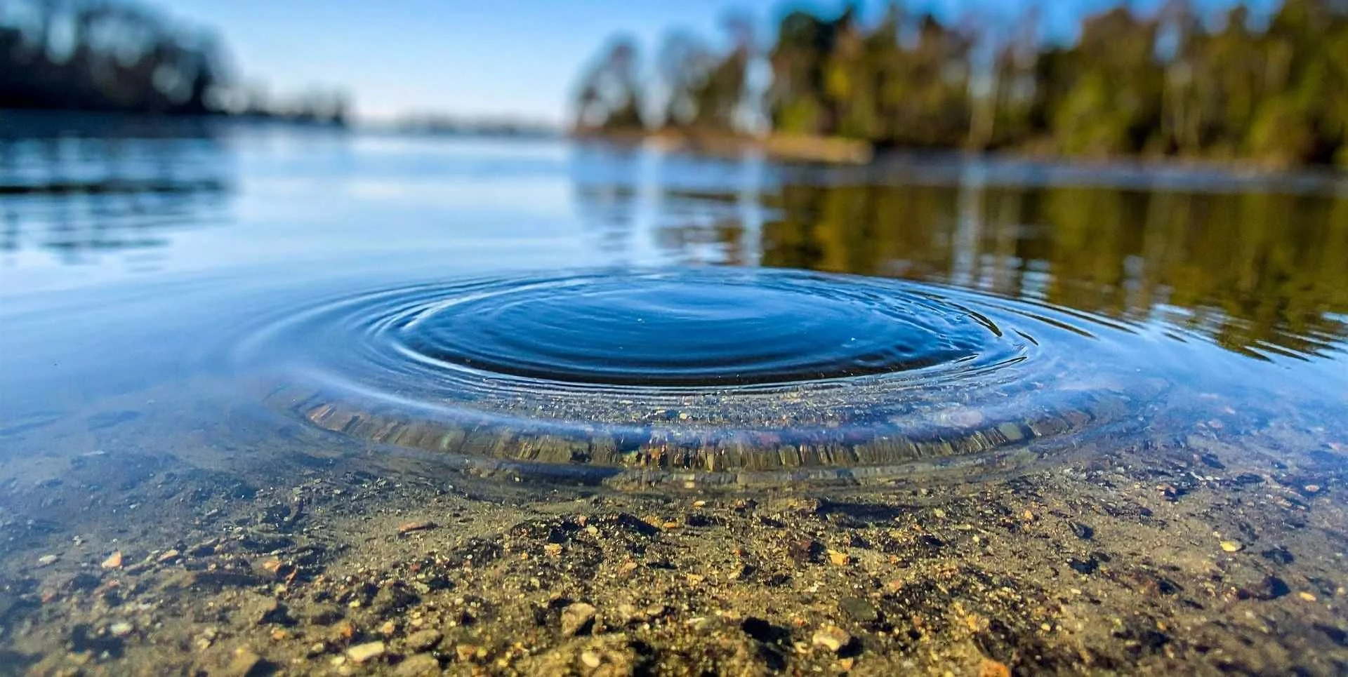 concentric circles rippling out in a calm pool of water.