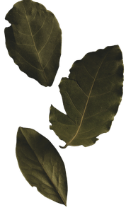Bay Leaves