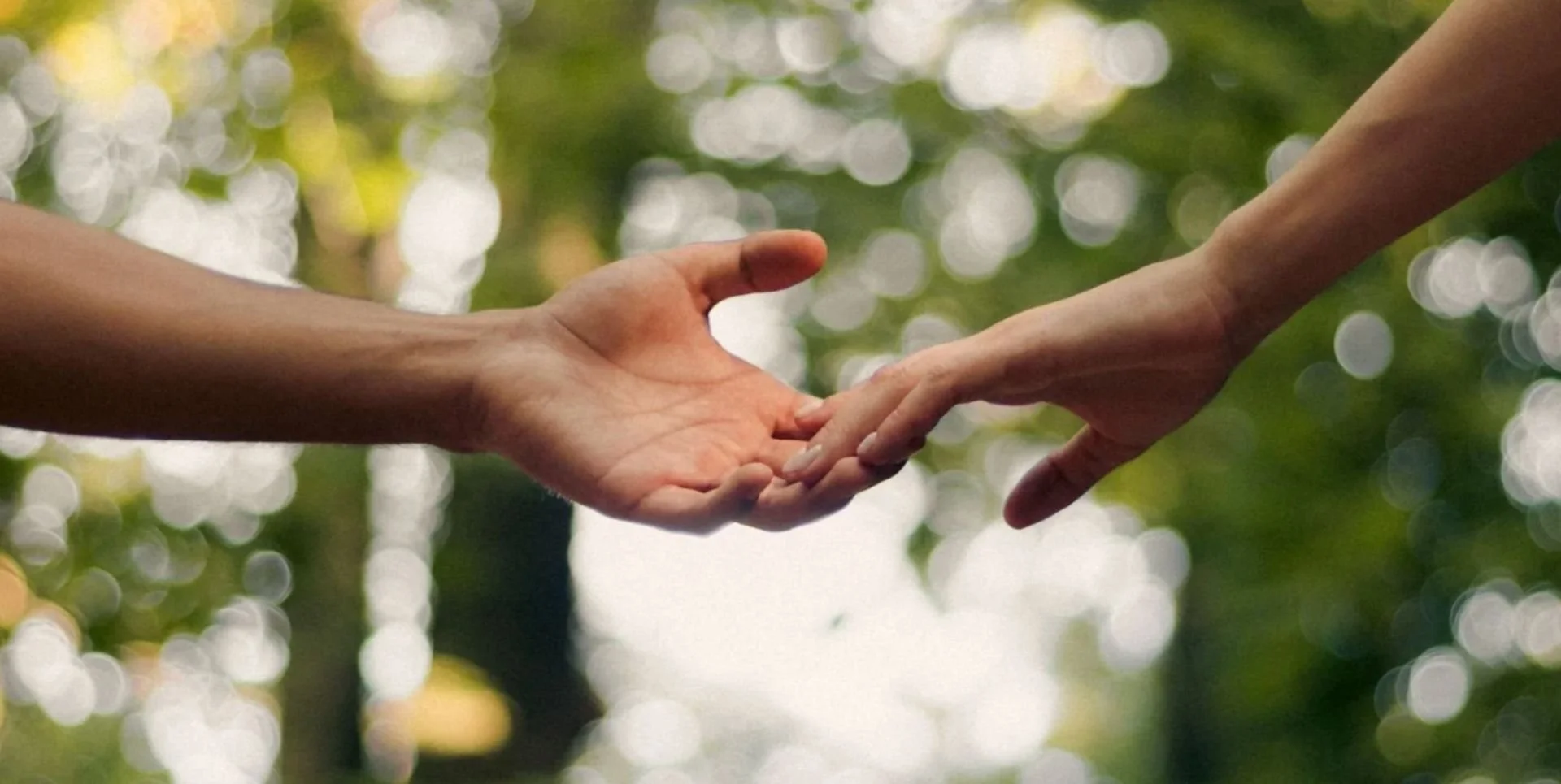 two hands touching fingertips against a blurred background of trees