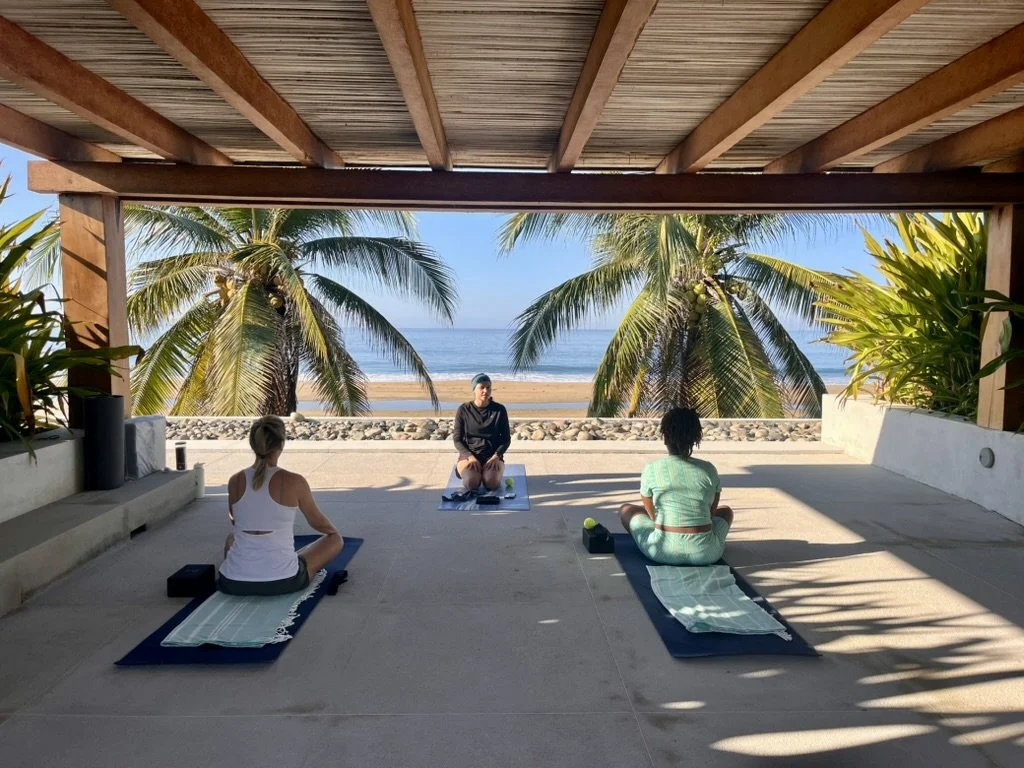 Group of people practicing yoga on mats facing the beach with palm trees, under a wooden roof