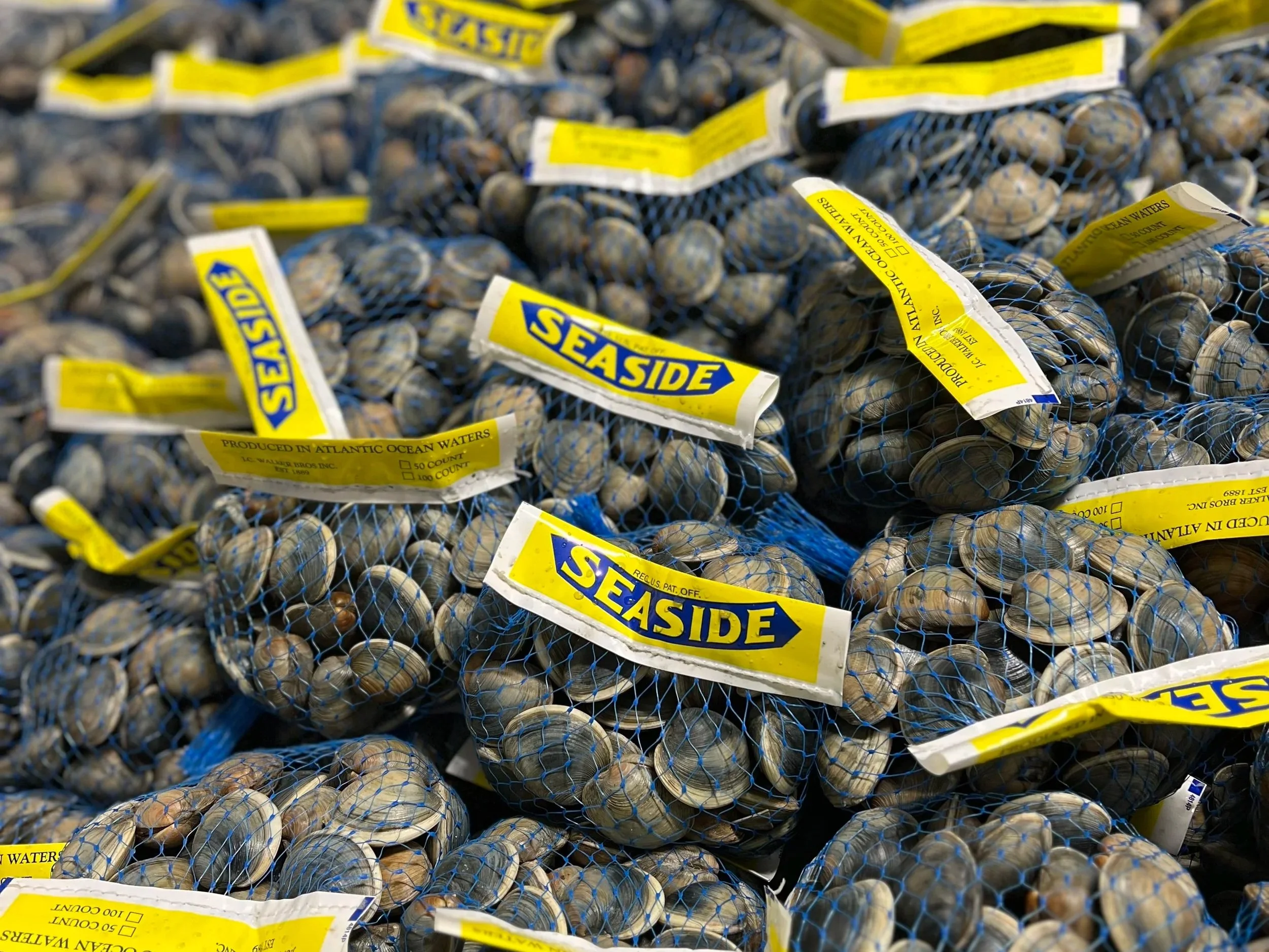seaside-bags.jpg