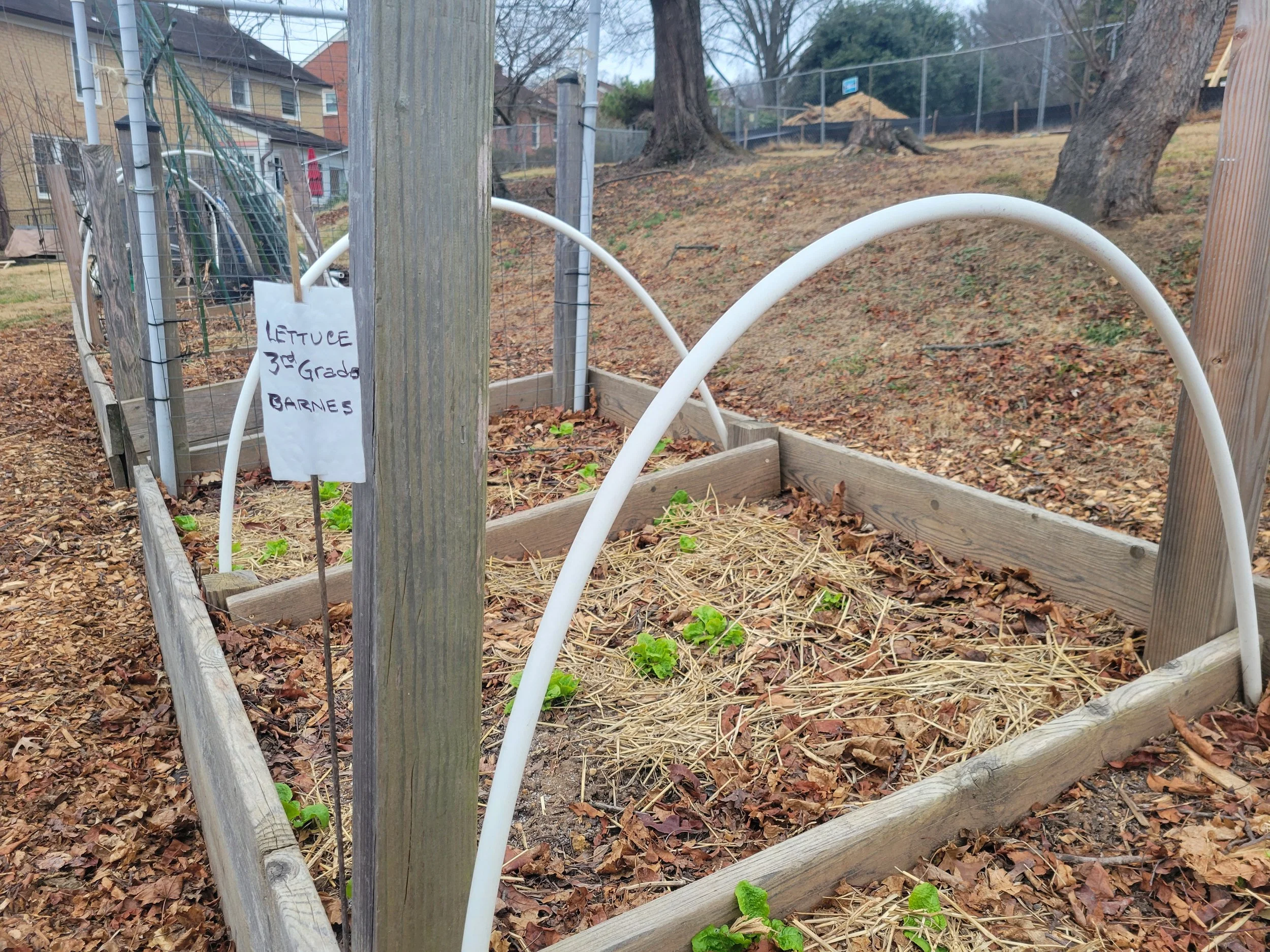 Adopting a Maintenance Mindset: School Gardens