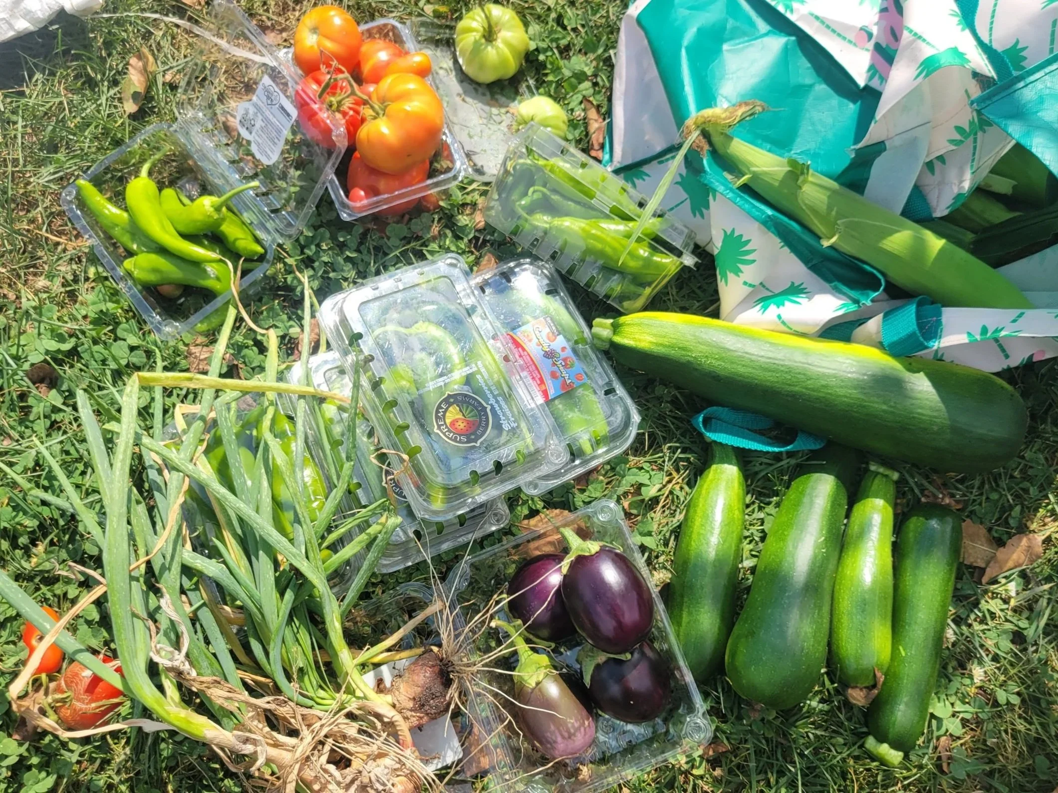 What Season Are You Designing For?