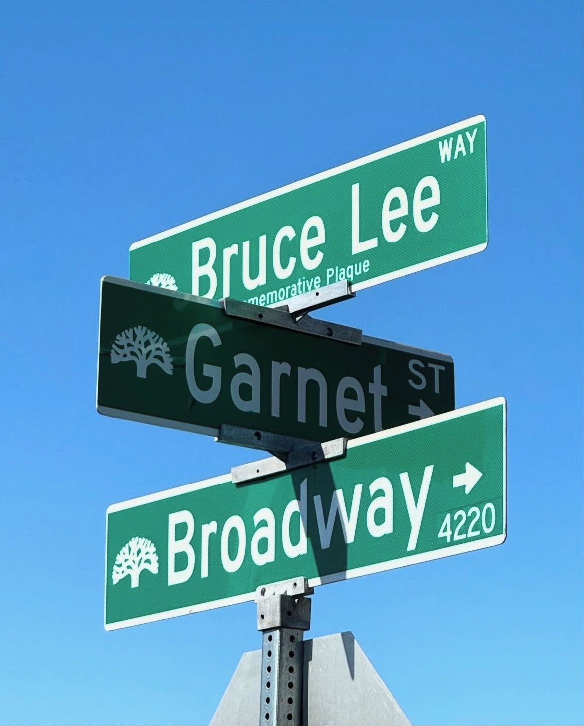 Bruce Lee Way Street Naming - Oakland, CA