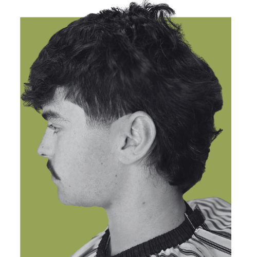 Profile of a young man with dark, wavy hair and light skin, wearing a patterned shirt against a green background. Style of hair is a low tapered mullet.