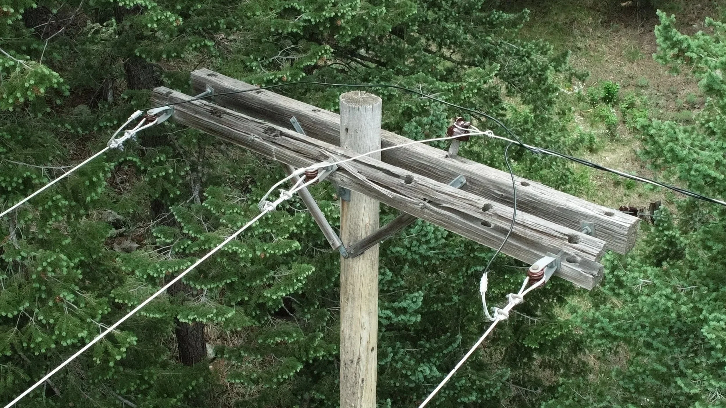 A wooden utility pole carrying electrical wires and insulators, surrounded by green trees and foliage.