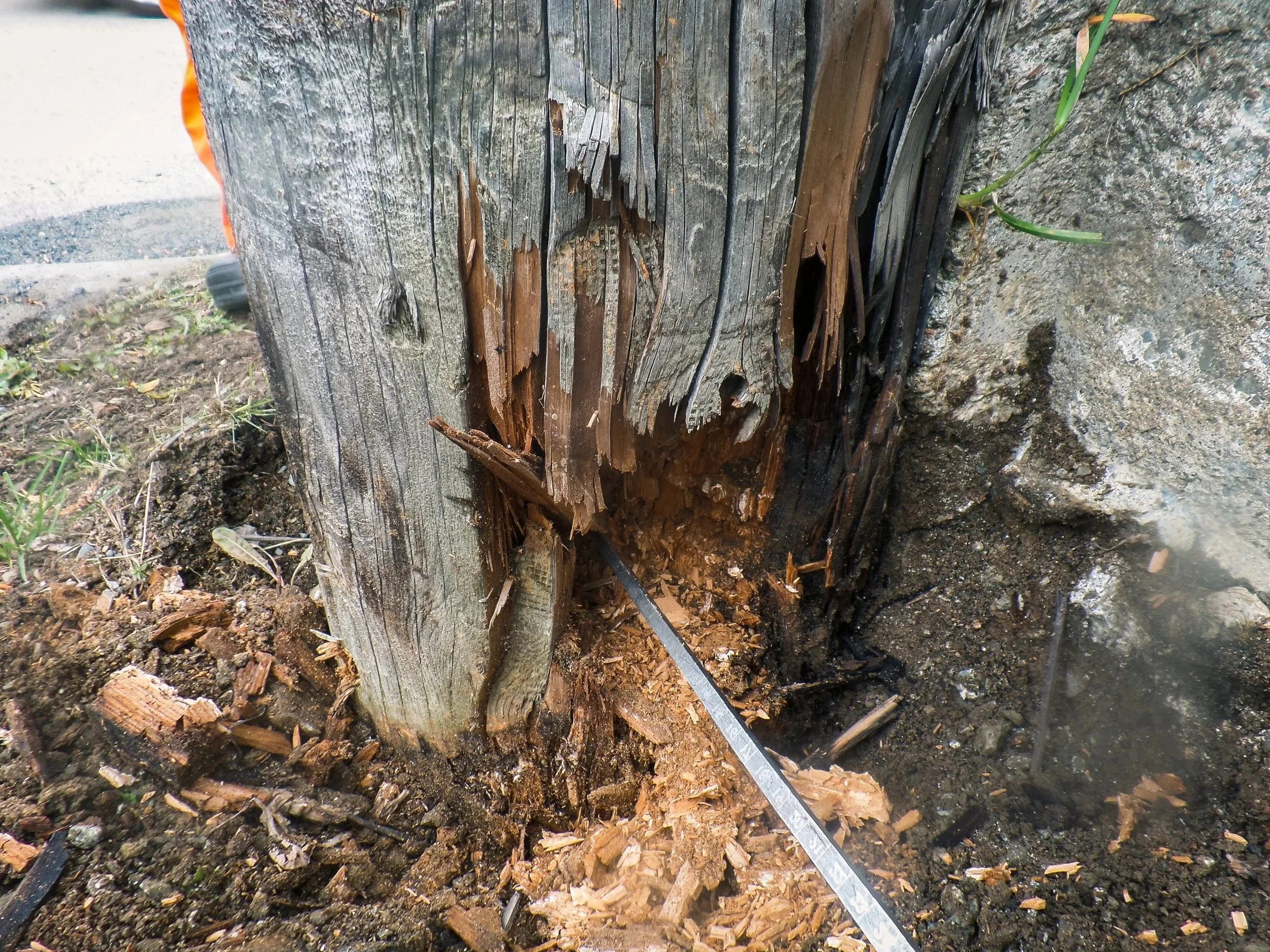Close-up of a weathered wooden utility pole with damage and rot, showing split and decayed wood at the base, surrounded by soil, small plants, and debris.