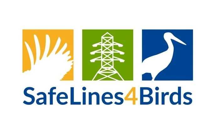 Logo for SafeLines4Birds featuring a stylized eagle, power line tower, and heron.