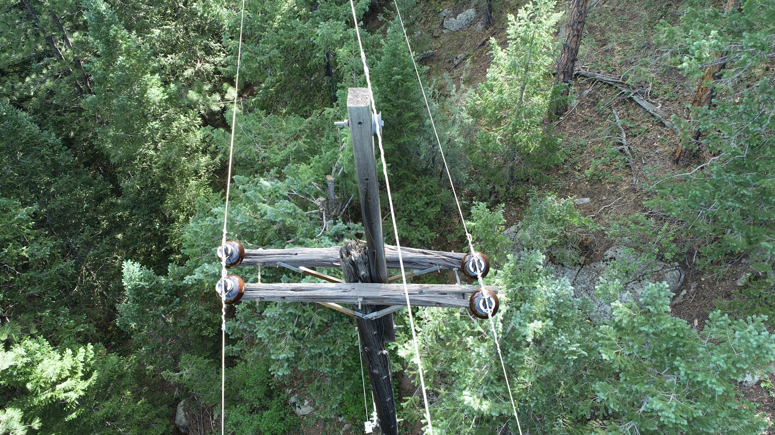 Photograph of an old wooden utility pole with crossbars and insulators, surrounded by green pine trees, taken from above.