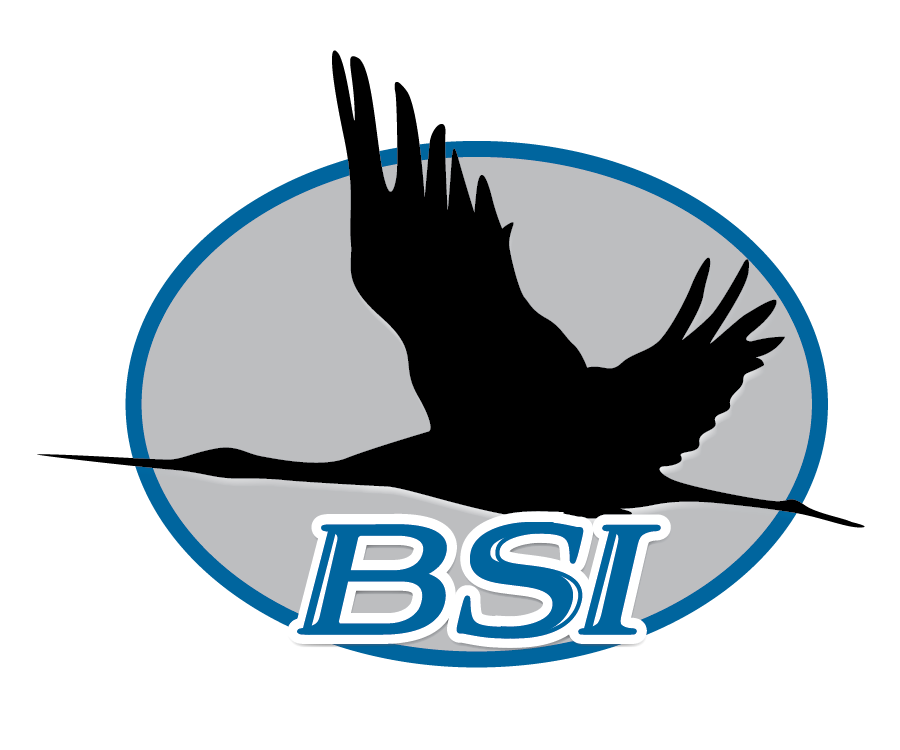 Silhouette of a bird in flight with outstretched wings, inside a circular gray background outlined in blue, with the white letters 'BSI' at the bottom.