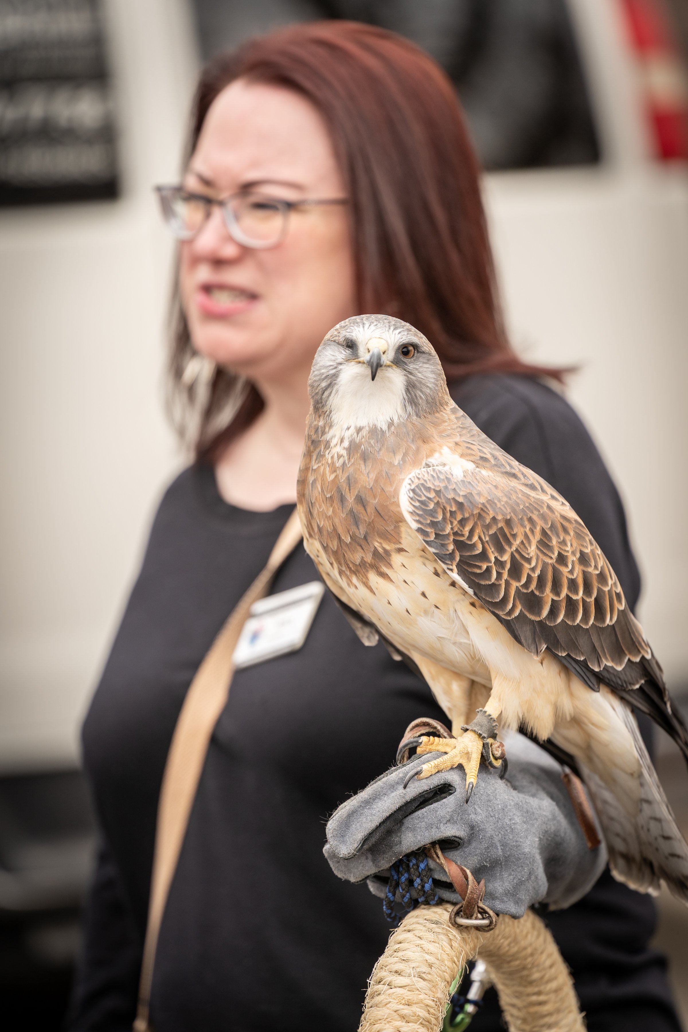 Woman with red hair and glasses holding a falcon on her arm, wearing a gray glove.