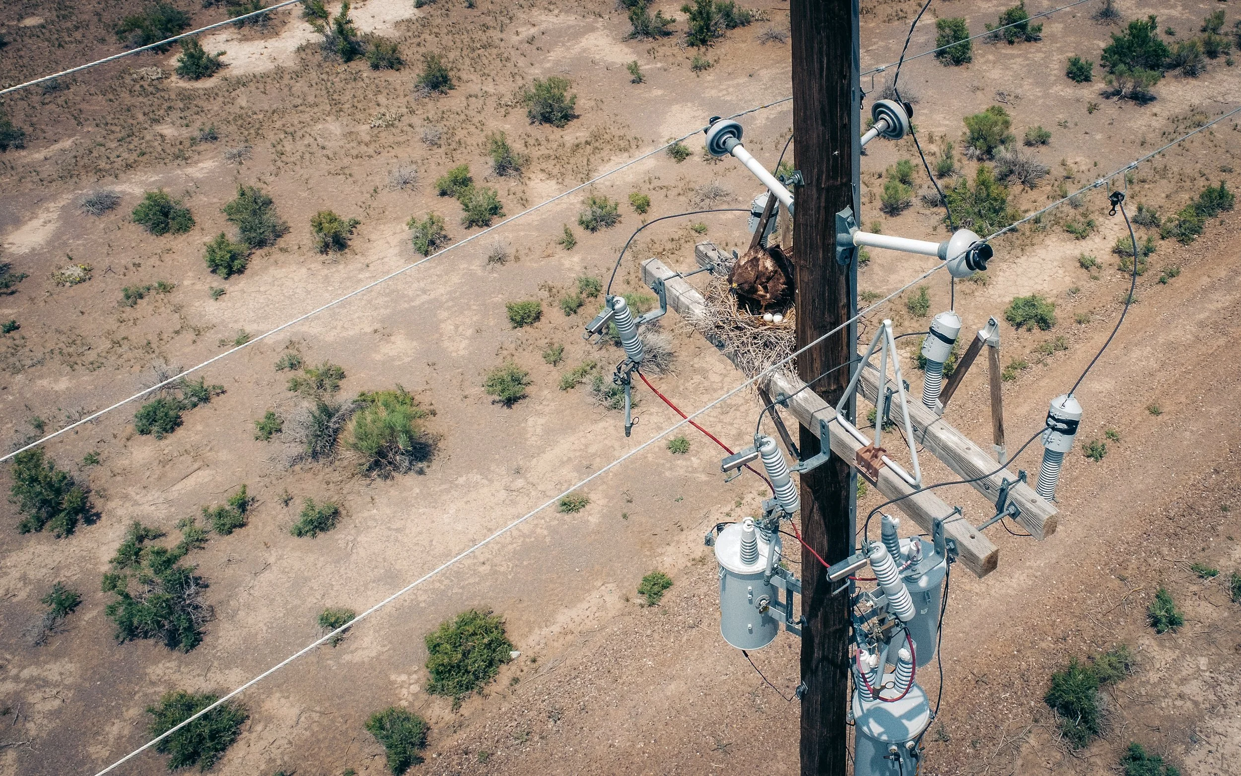View of a utility pole with electrical components and insulators in a dry, sparse landscape with small bushes.