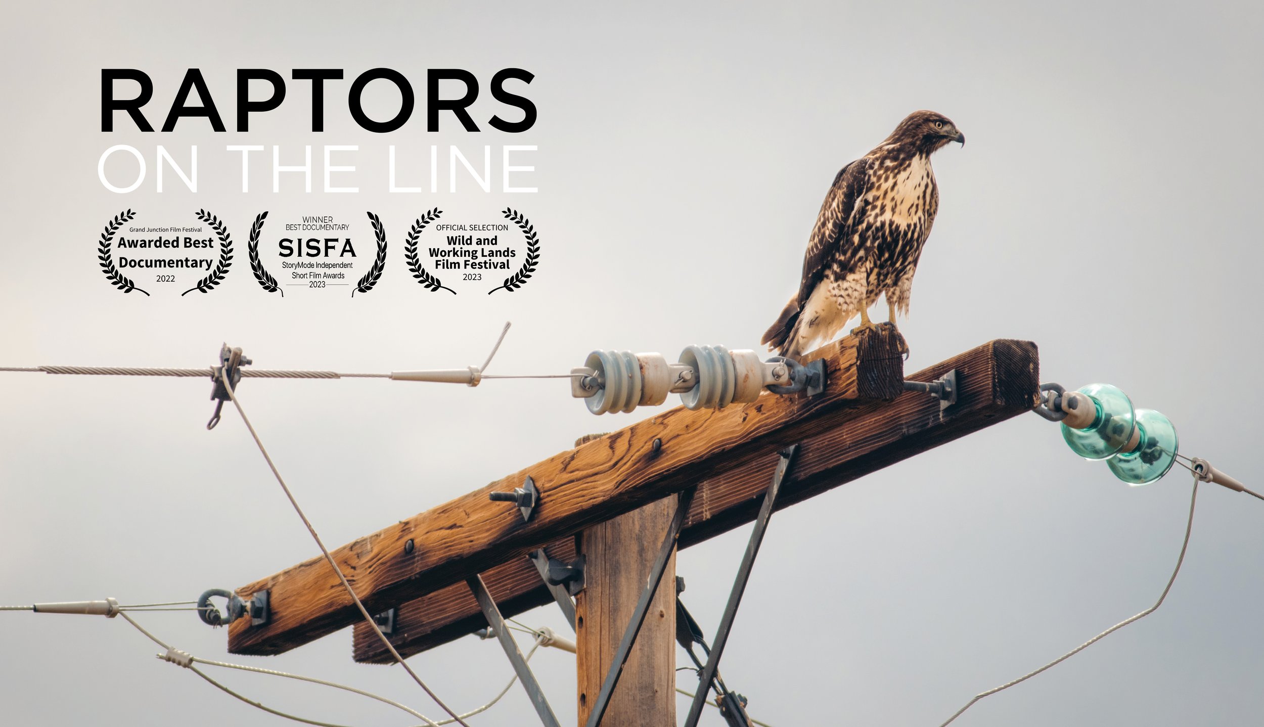 A turkey vulture perched on a power line pole against a cloudy sky, with text promoting the documentary 'Raptors on the Line' and festival awards.