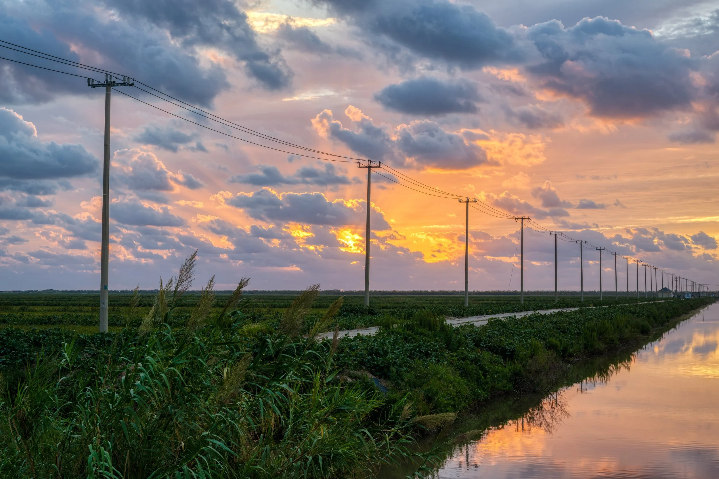 Sunset over a rural landscape with power lines, green fields, tall grass, and a waterway reflecting the sky.