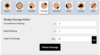 Screenshot of a Wedge Damage Editor interface with options for entering circumference missing, depth missing, and angle to damage in degrees. The interface includes buttons labeled Heart, Shell, Pocket, Wedge, Section, Slice, Cavity, Bolt, and contro