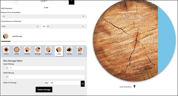 A screenshot showing a wood log cross-section on the right and a software interface for analyzing and adding damage to the wood on the left.