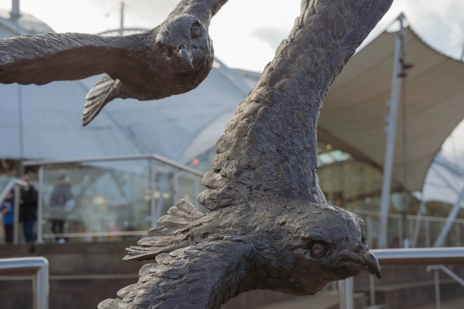 A close-up, high-detail shot of bronze bird sculptures in flight outside Dynamic Earth, Edinburgh.