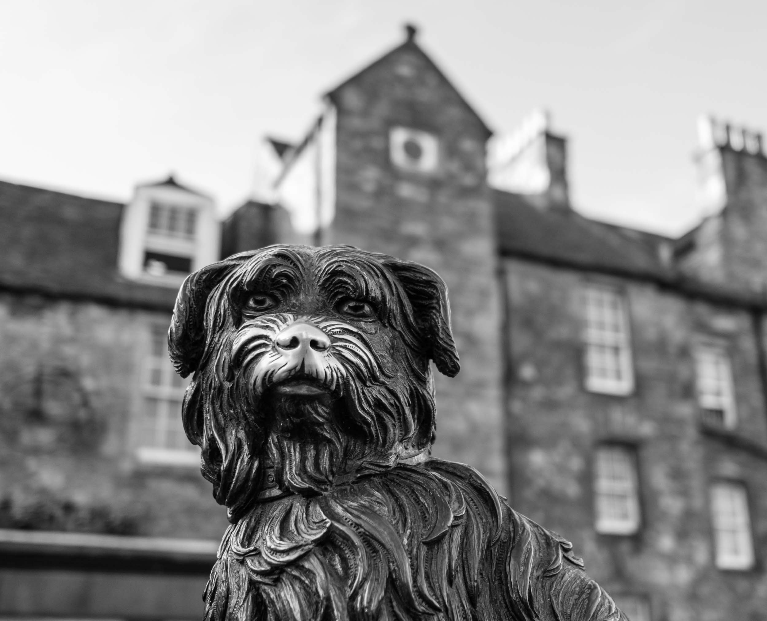 Image of the statue of Greyfriars Bobby. Viewable on the Shutter Scotland 'Edinburgh Old Town Icons' photo walk.