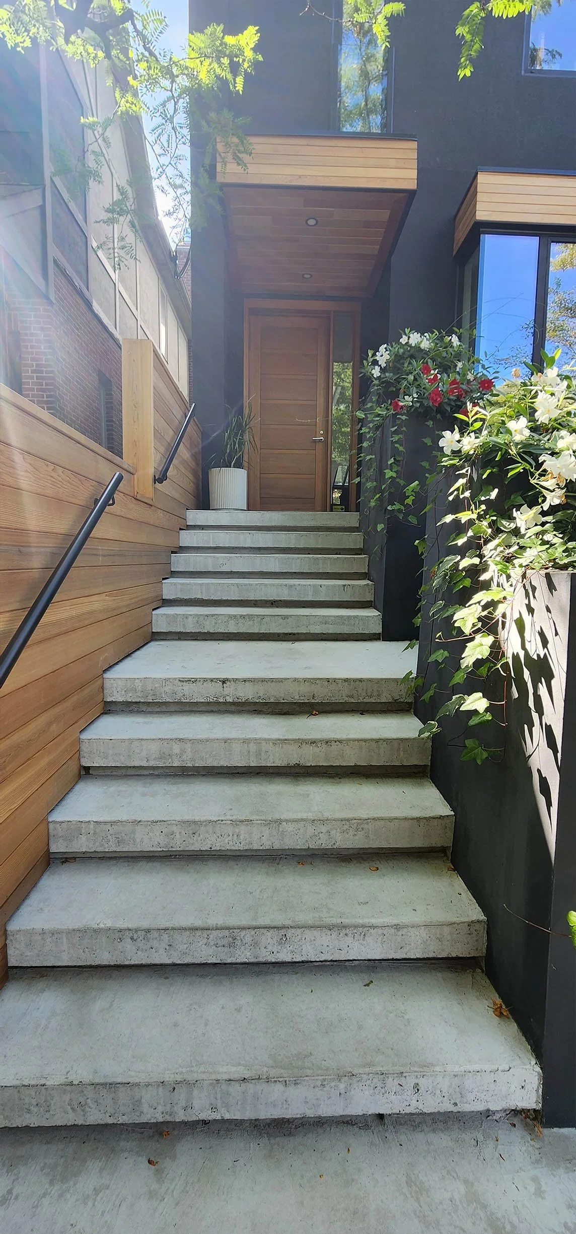 Lantern House entrance in The Beaches, Toronto, built by Maxamin Homes, featuring concrete steps, wooden door, and potted plants by flowering bushes.