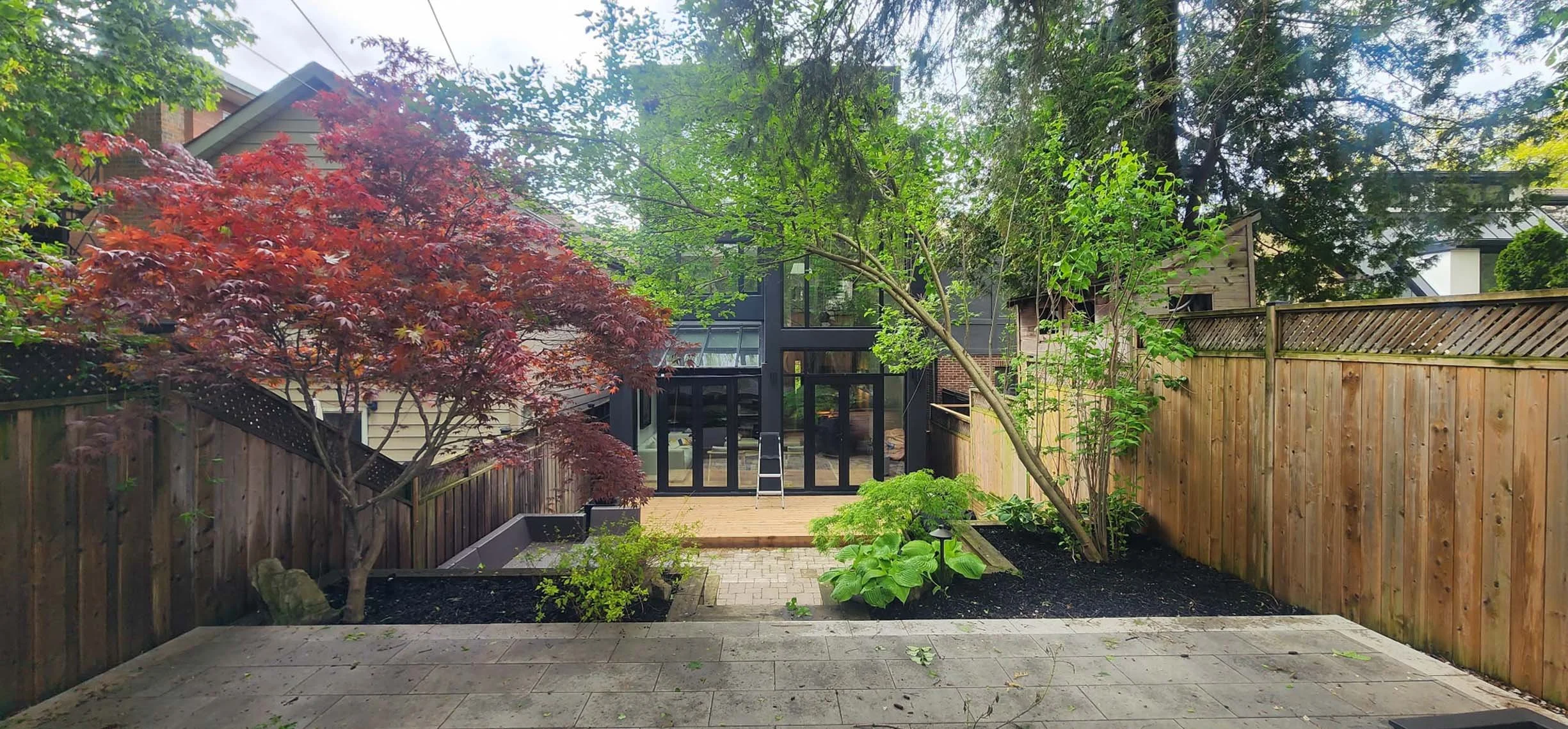 View of a backyard garden with a tree with red leaves on the left, another tree with green leaves in the middle, a wooden fence on the right, and a modern house with large glass doors and windows in the background. There is a small patio with a paved