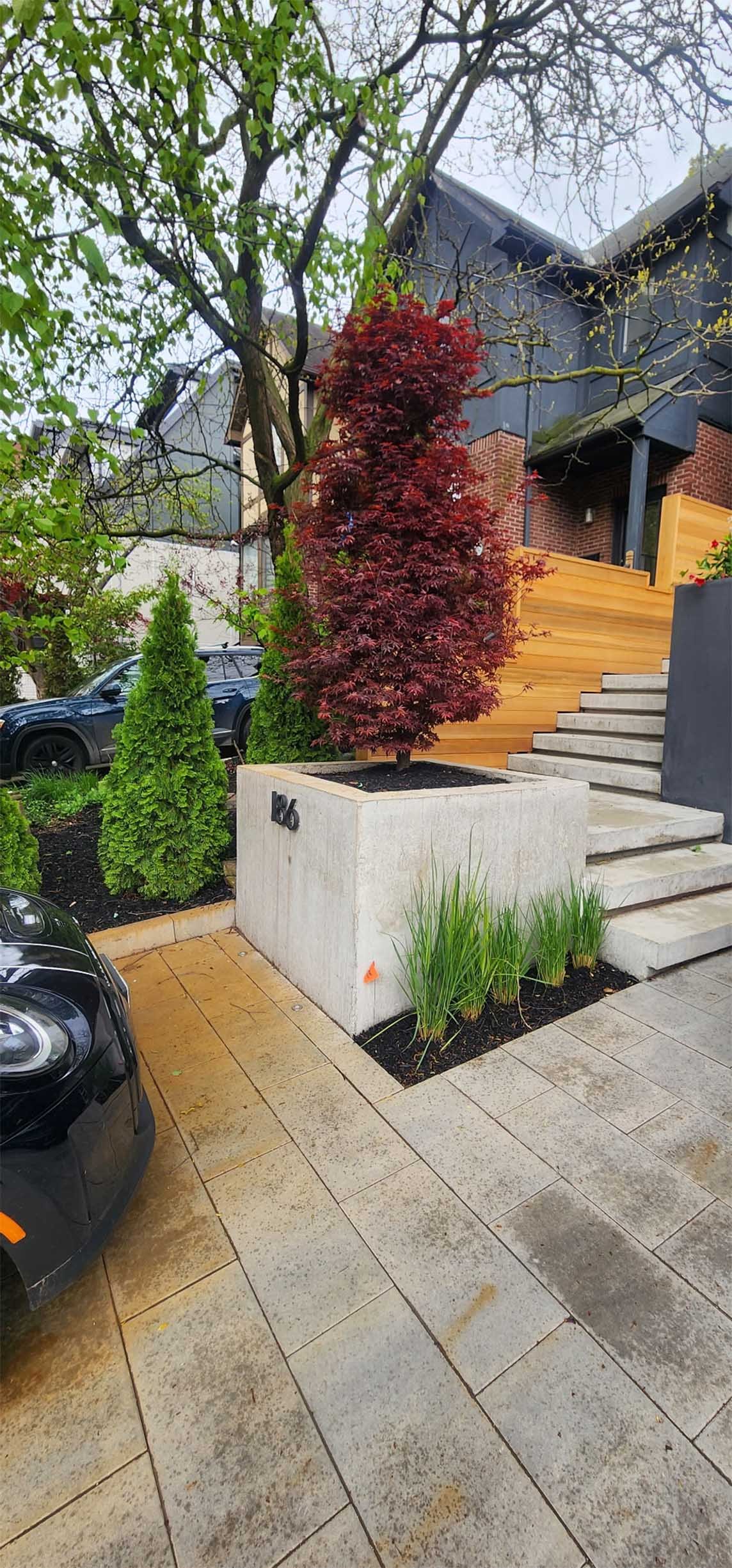 A modern residential front yard with a small red-leaved tree in a concrete planter, surrounded by green shrubs and grass, with stairs leading to a house with black and wood siding, and a parked black car on wet pavement.