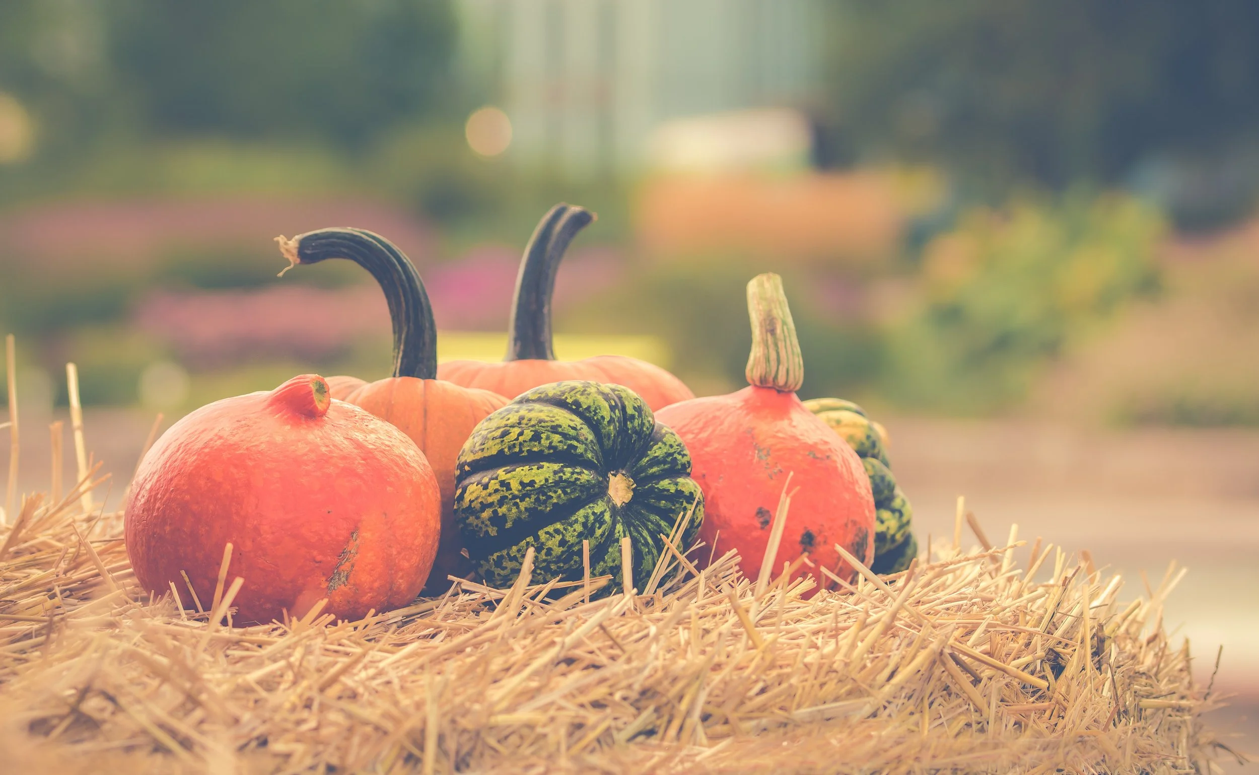 Don't Wait for the New Year: Why Fall Is a Great Time to Find a New Job