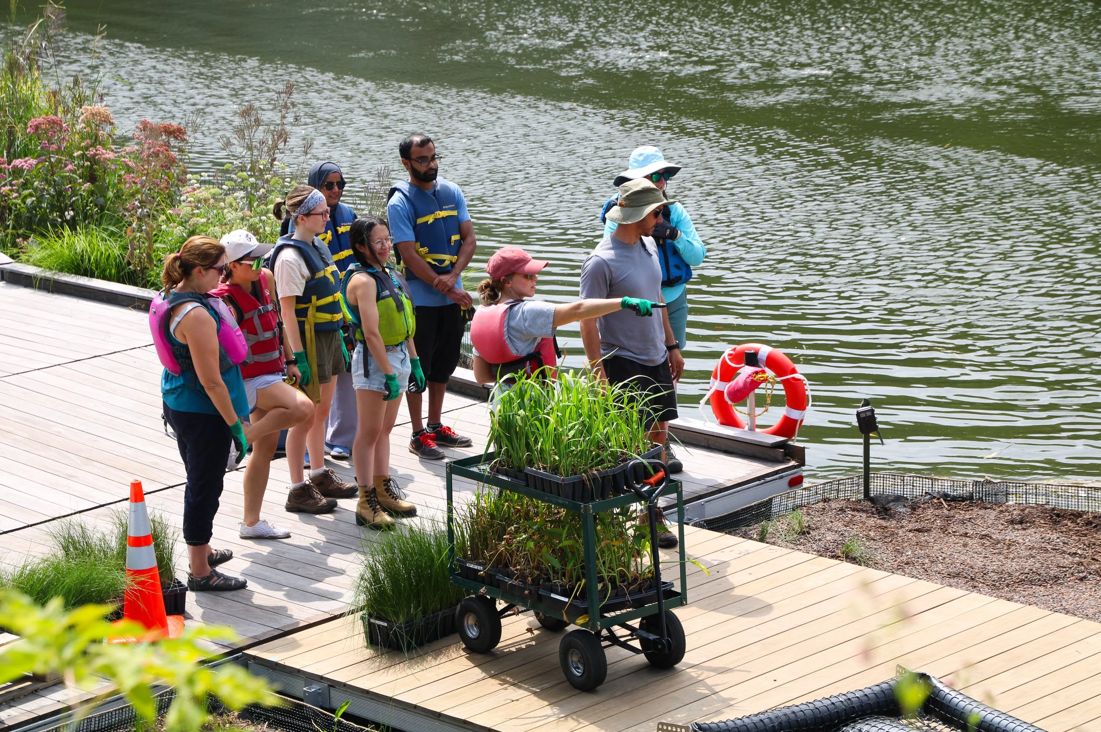 A group of people on a wooden dock by a lake, being led by a guide in green gloves, with a cart of plants nearby, during daylight.