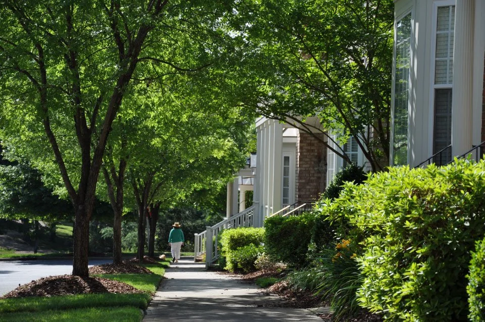 A person walking along a clean sidewalk bordered by trees and shrubs in a quiet residential neighborhood, representing walkability, safety, and green urban design in Washington, D.C.