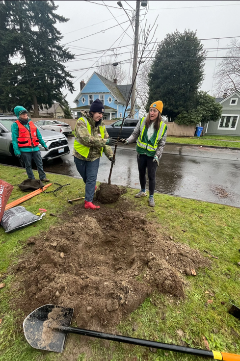 Two women working together to plant a young tree on a wet day in a residential neighborhood, with rain visible on the ground and a third person in the background, representing community environmental action and urban greening