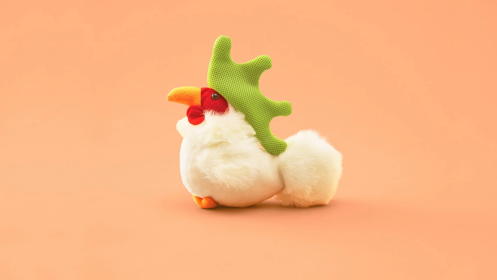 rooster.jpg