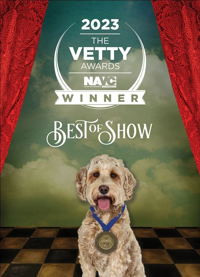 2023_vetty-award-vagus-pr-florida-chicago.jpg