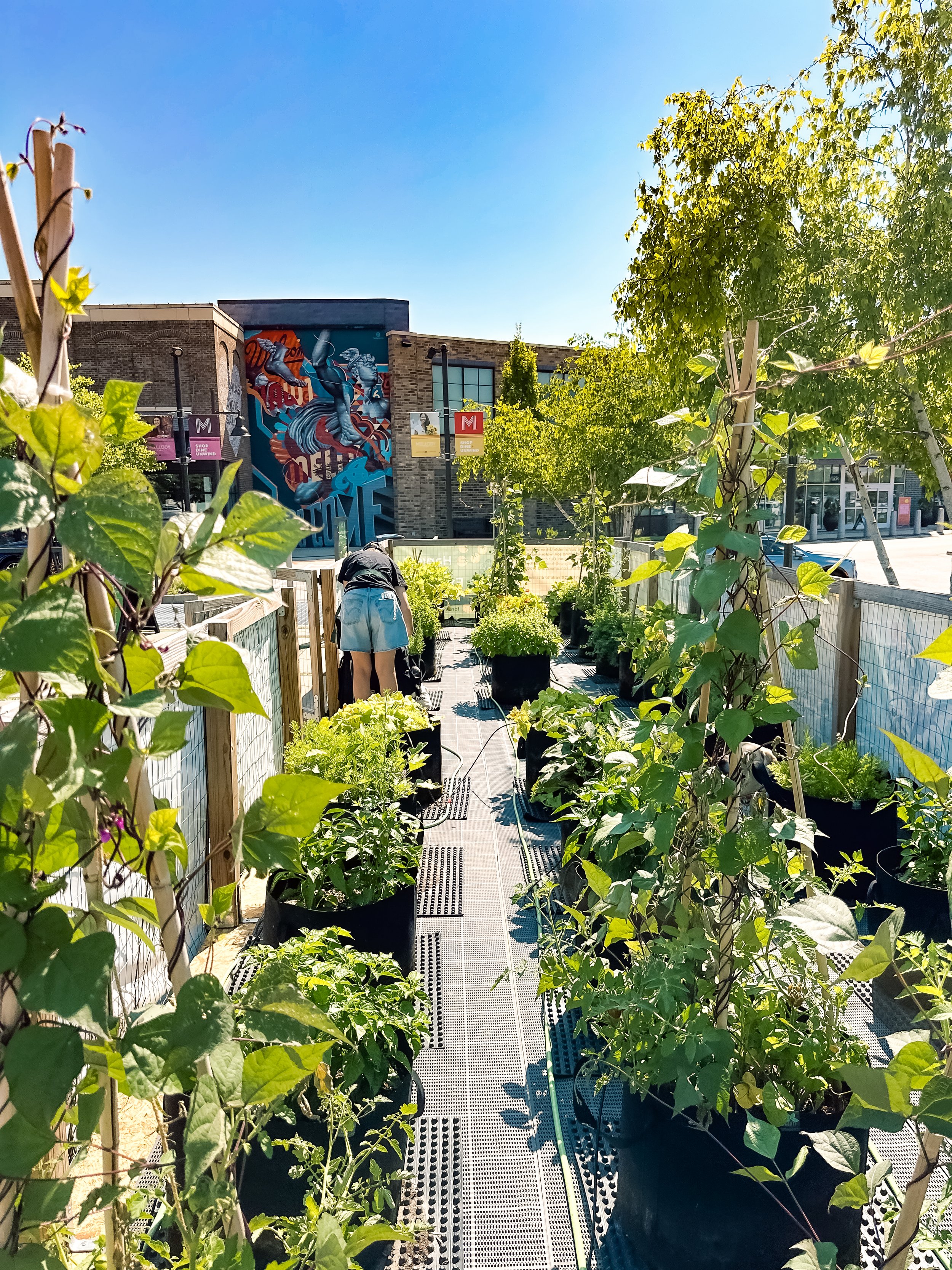 Urban Farm garden at Mellody Farm in Vernon Hills