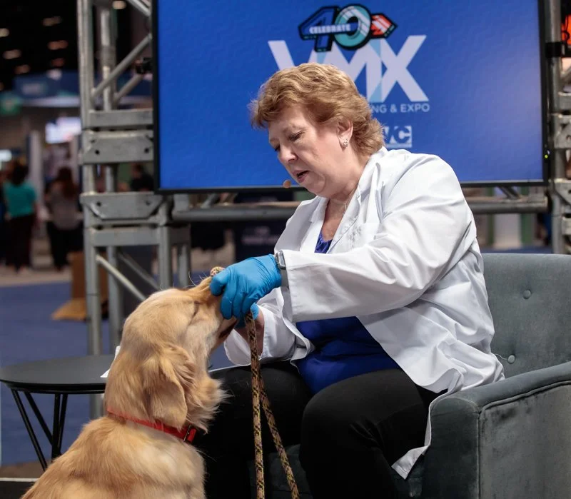 vmx-expo-orastrip-dx.jpg