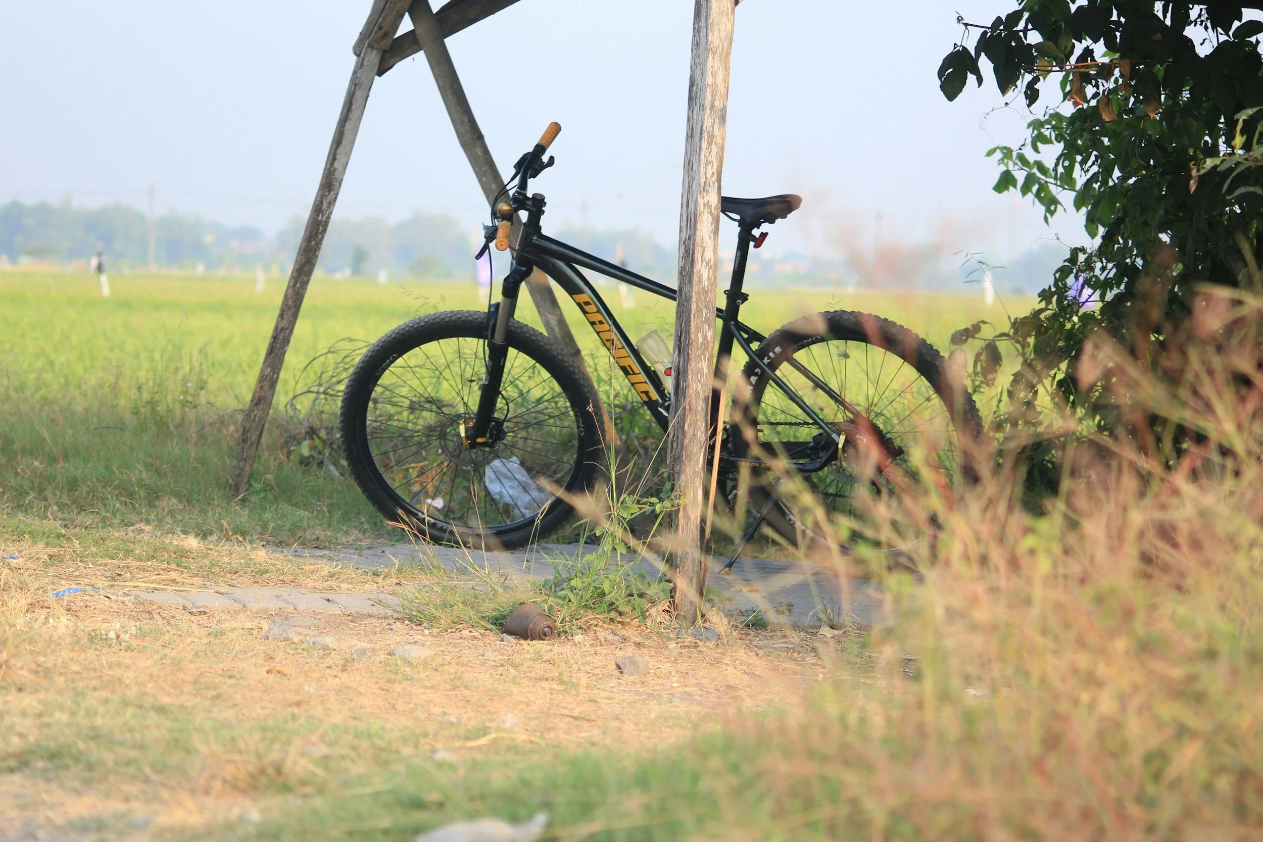 A black bicycle leaning against a wooden support post next to a bush in a grassy field.