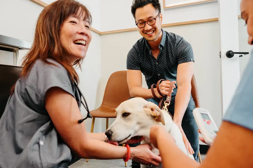 Veterinary team smiling while examining a dog with its owner at Modern Animal clinic