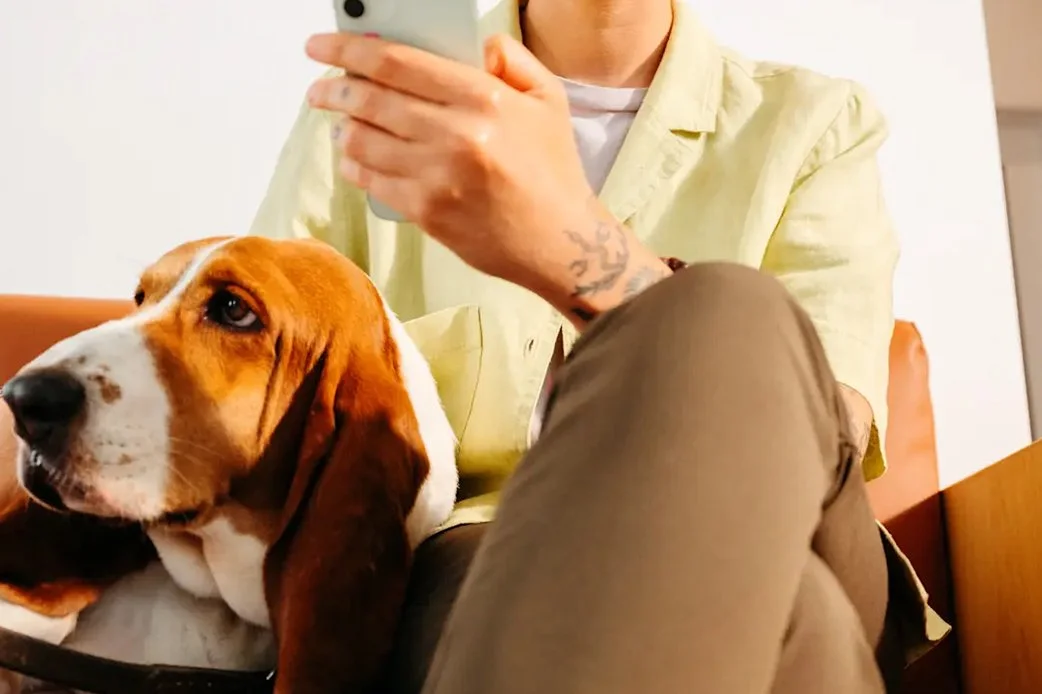 Dog resting on owner's lap while waiting for a veterinary appointment at Modern Animal clinic